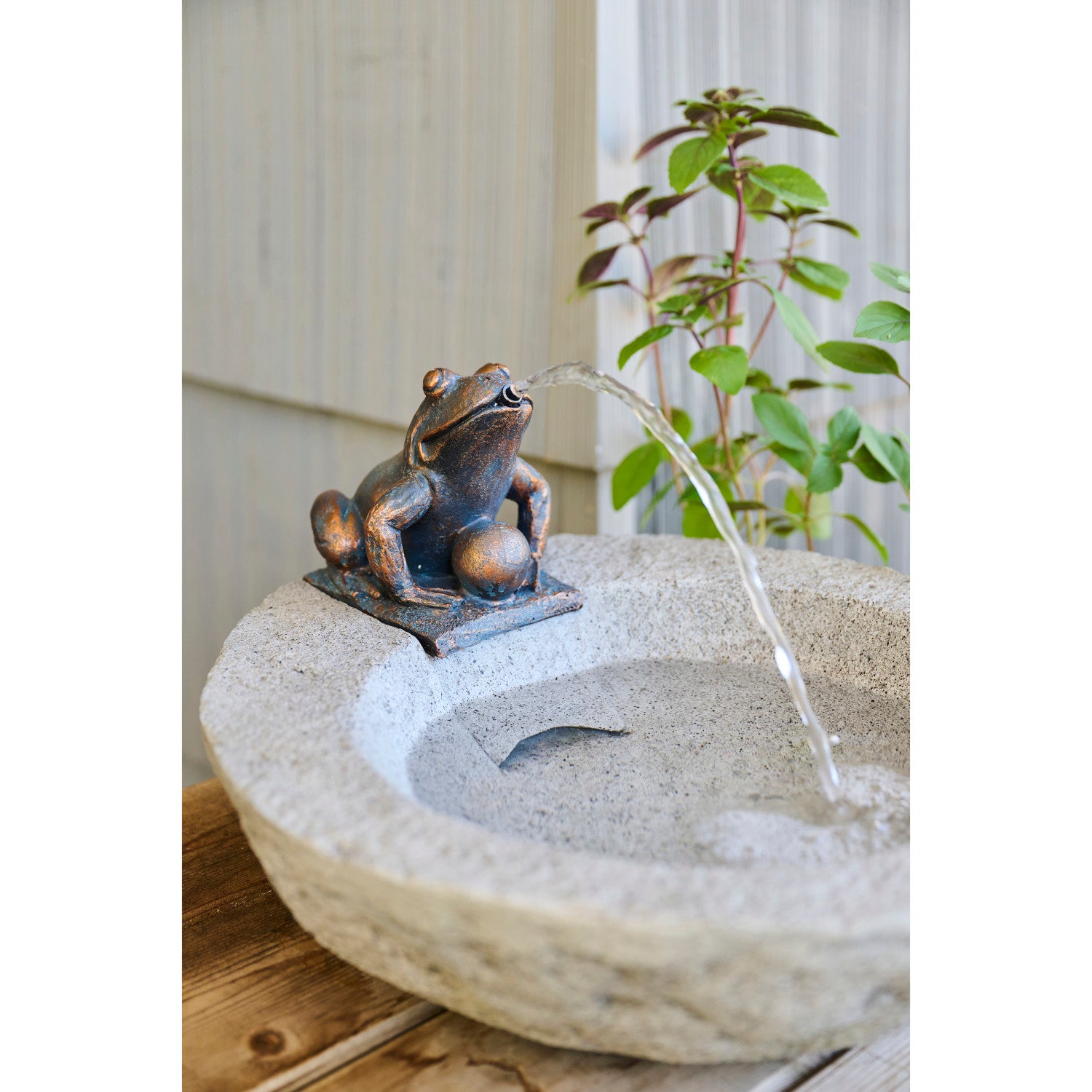 Frog Fountain