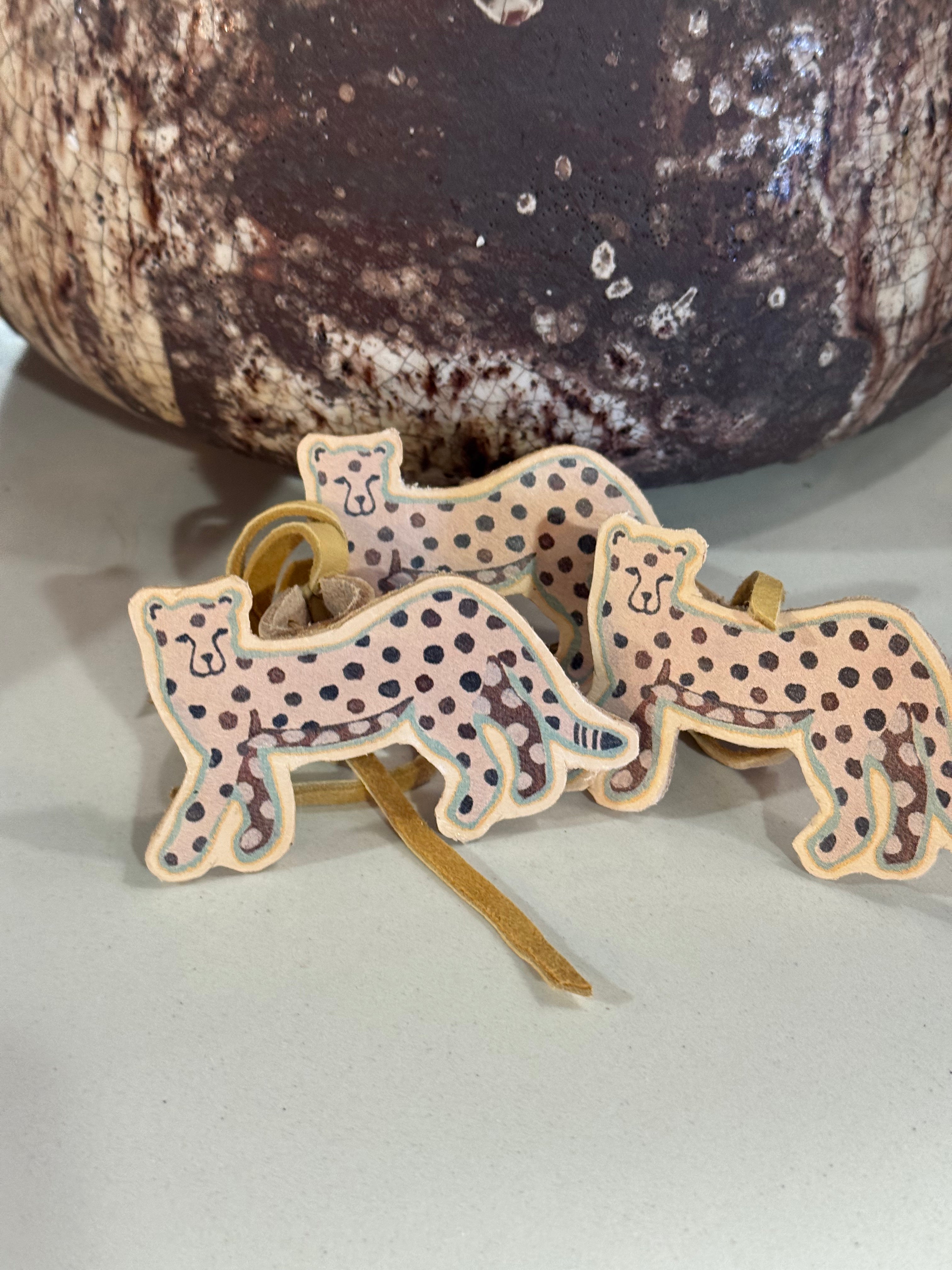 Cutout Western Slides & Pins- Assorted