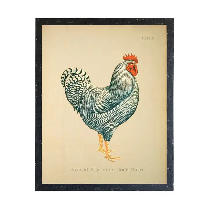 Framed & Wild Artwork-Assorted