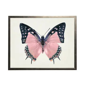 Butterfly Artwork-Assorted