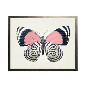 Butterfly Artwork-Assorted