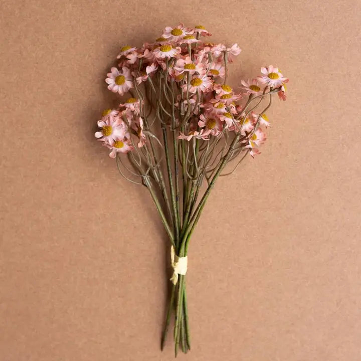 Chamomile Bundle-Assorted
