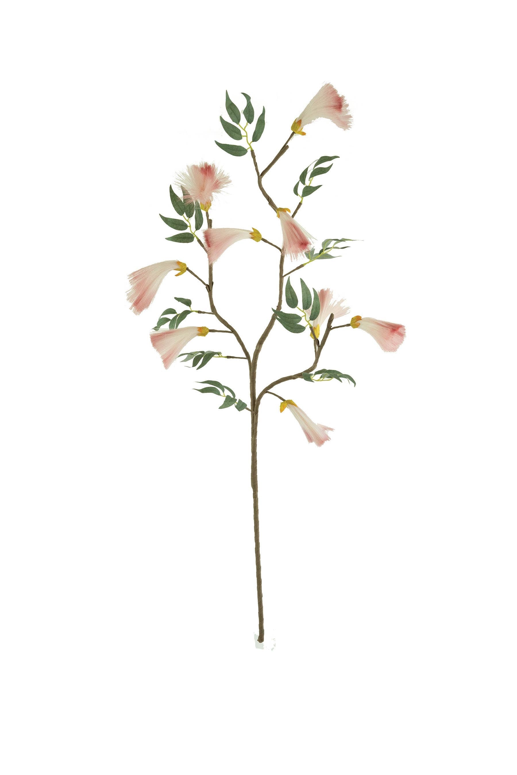 Blossom Botanica