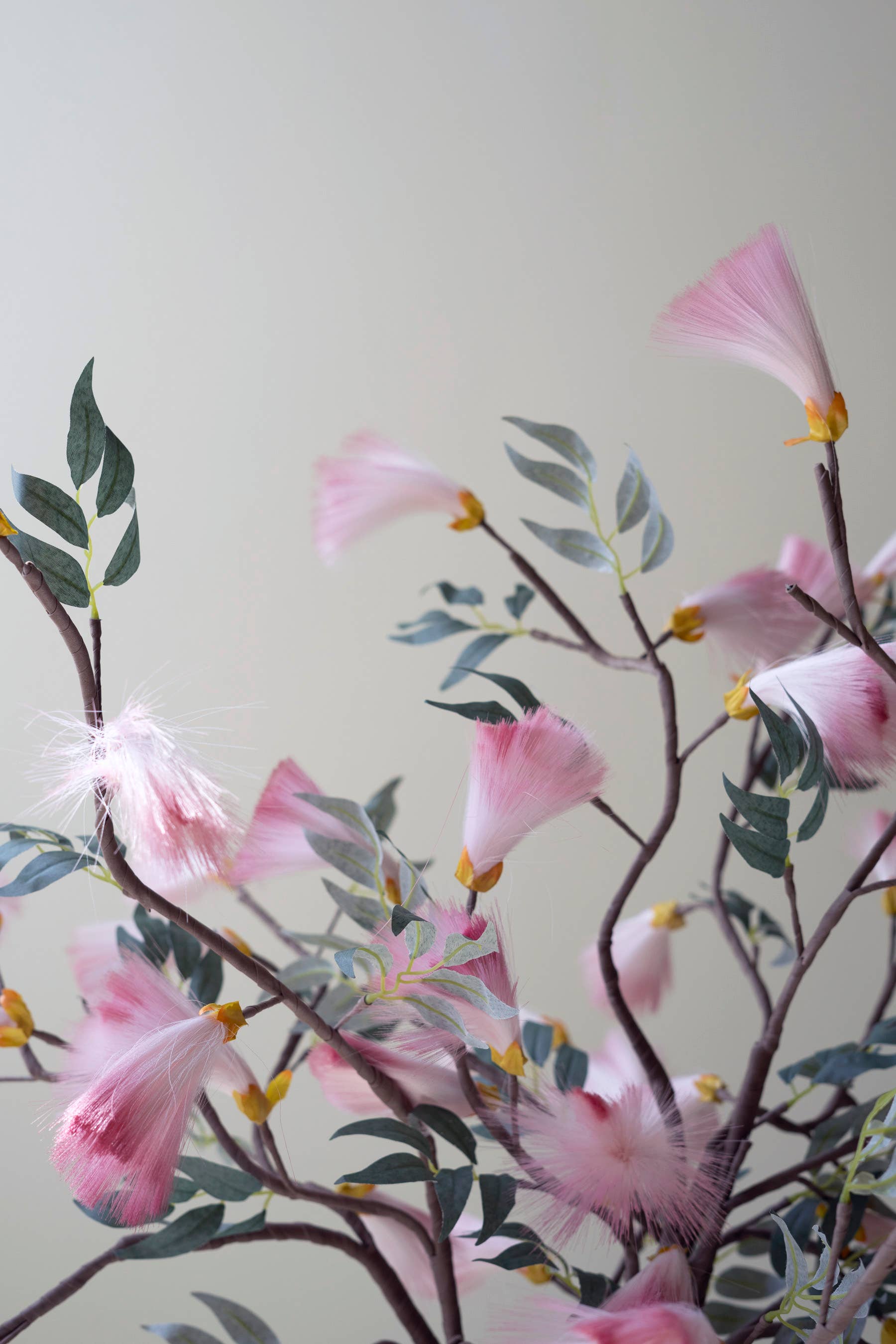 Blossom Botanica