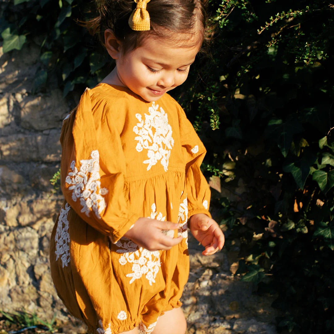 Little Ladies Fall Dress/Romper
