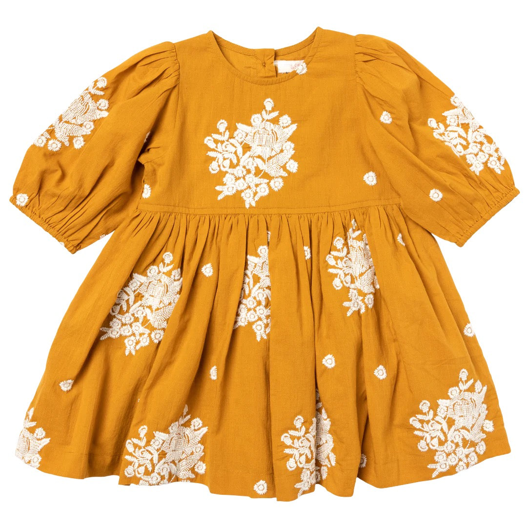Little Ladies Fall Dress/Romper