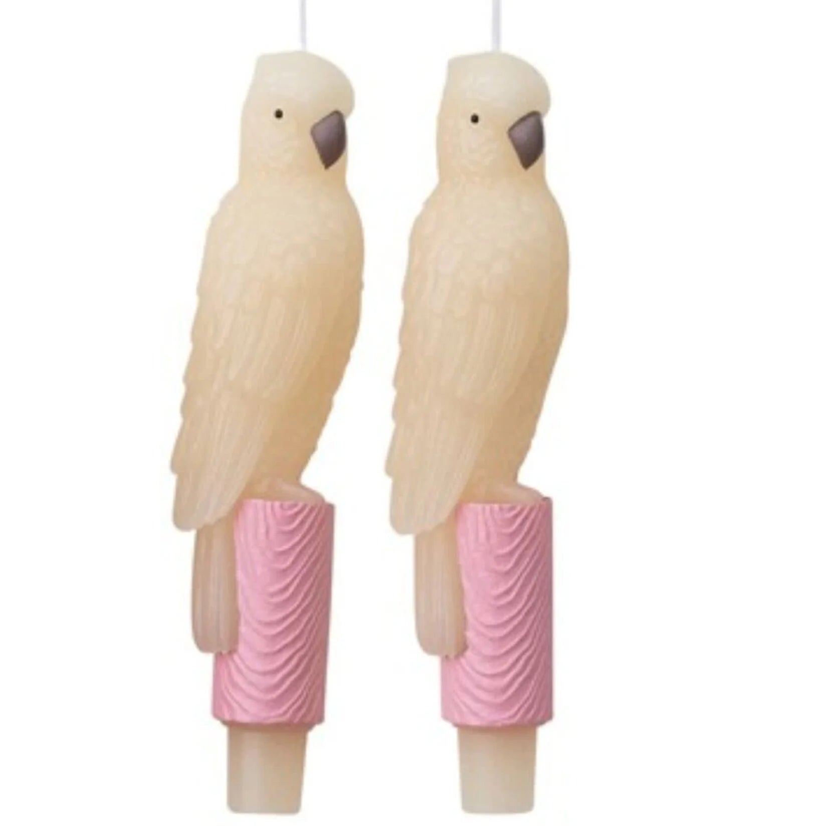 Parrot Taper Candle
